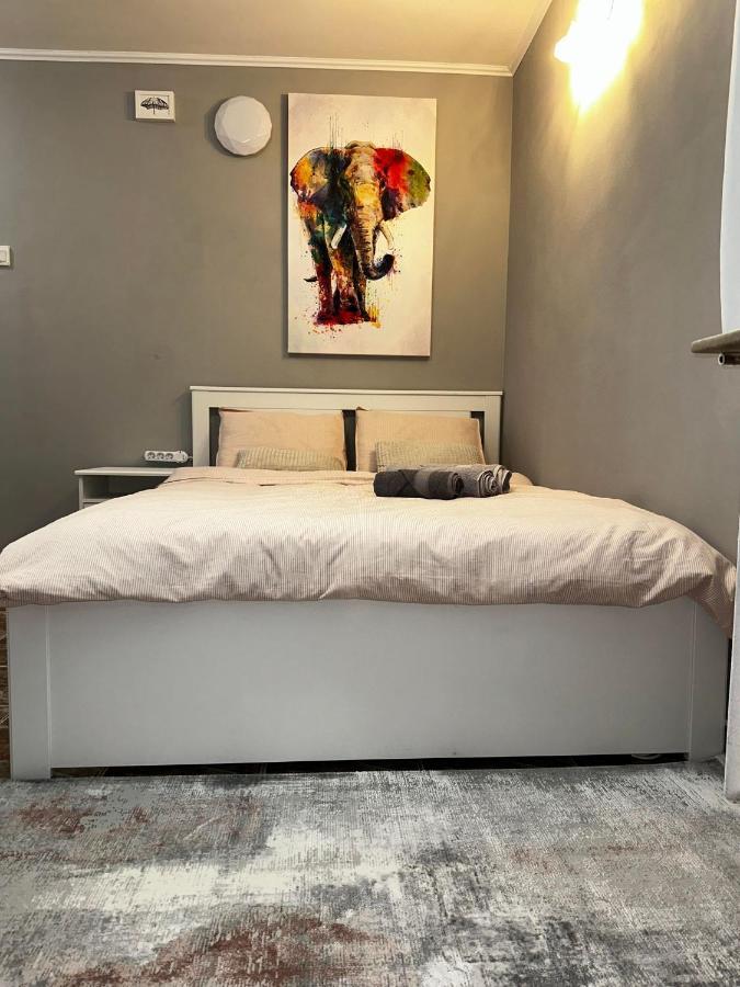One Room Apartment Decebal Bucureşti Exterior foto